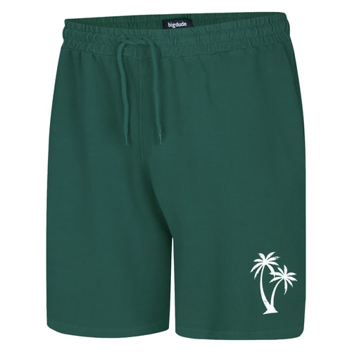 Bigdude Washed Look Shorts Teal