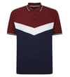 Navy/Burgundy Tall