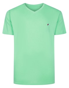 Bigdude Embroidery V-Neck T-Shirt Light Green Marl Tall