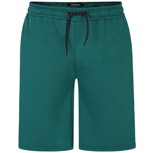 Bigdude Jersey Shorts With Zip Green