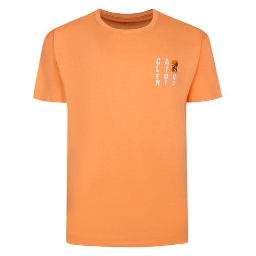 Bigdude Surf Chest Print T-Shirt Apricot