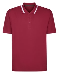 Bigdude Tipped Collar Polo Shirt Cassis Tall
