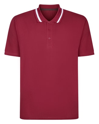Bigdude Tipped Collar Polo Shirt Cassis Tall