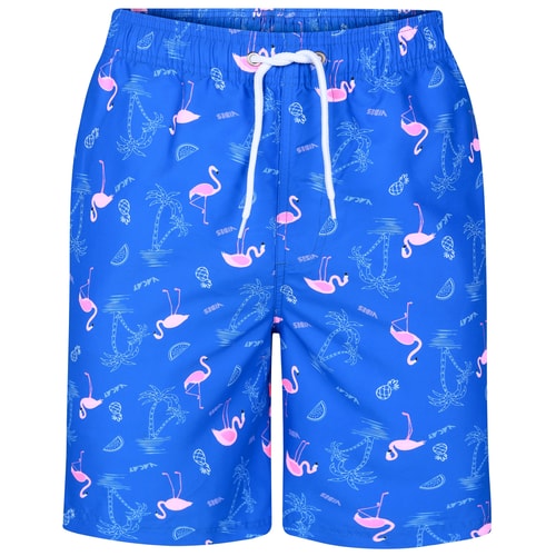 Bigdude Flamingo Swim Shorts Royal Blue