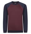 Burgundy/Navy