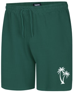 Bigdude Washed Look Shorts Teal