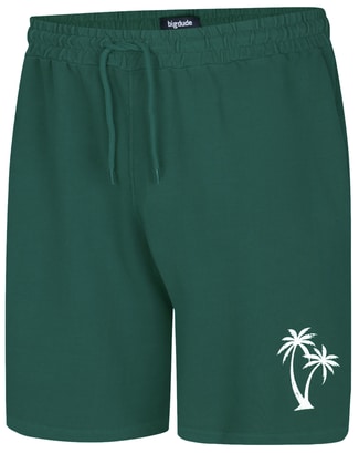 Bigdude Washed Look Shorts Teal