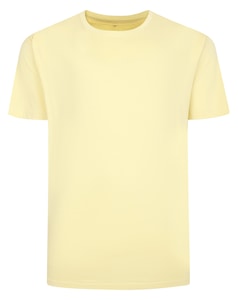 Bigdude Plain T-Shirt Pale Yellow Tall