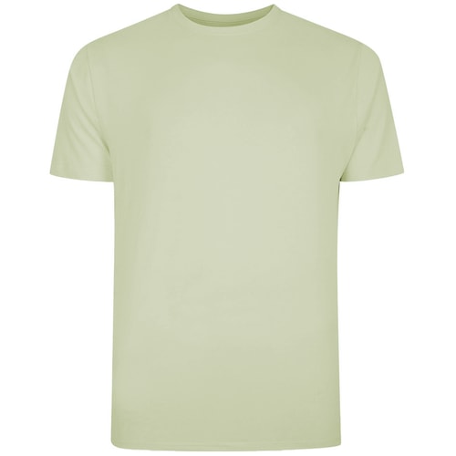 Bigdude Plain Crew Neck T-Shirt Lime Green