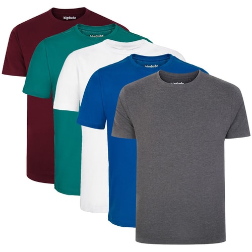 Bigdude 5 Pack Plain T-Shirts Multi Tall
