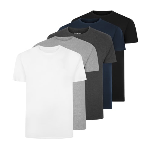 Bigdude 5 Pack Plain T-Shirts