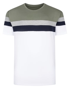 Bigdude Striped Colour Block T-Shirt Sage Green