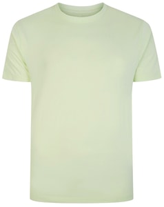 Bigdude Plain Crew Neck T-Shirt Lime Green