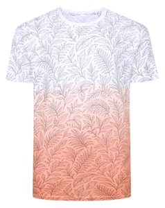 Bigdude Dip Dye AOP T-Shirt Apricot Tall