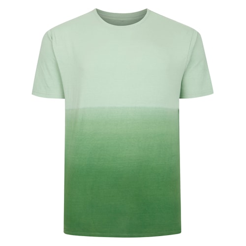 Bigdude Ombre T-Shirt Green