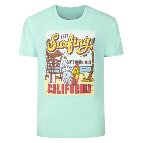 Bigdude Best Surfing In California Print T-Shirt Jelly Mint Tall