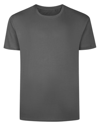 Bigdude Side Panel T-Shirt Dark Grey/Charcoal