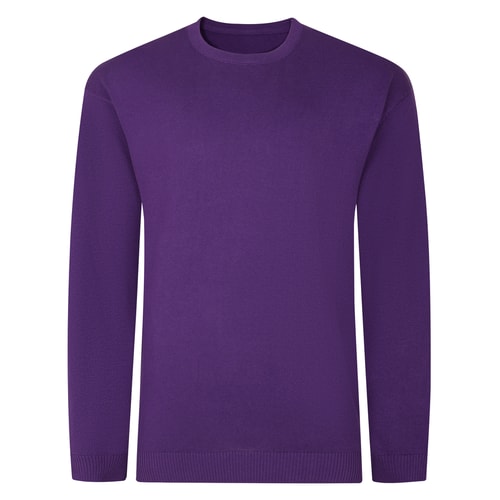Bigdude Plain Crew Neck Knitted Jumper Purple