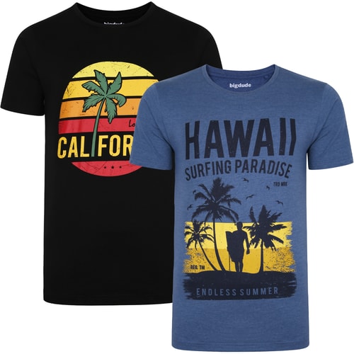 Bigdude Print T-Shirt Twin Pack Black/Denim