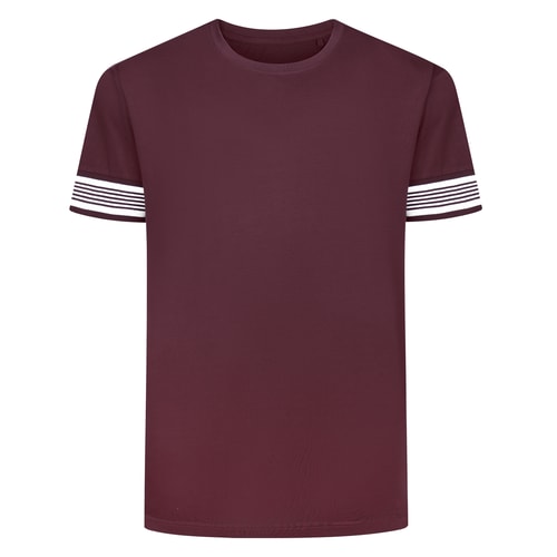 Bigdude Heavyweight Striped Arm T-Shirt Maroon Tall