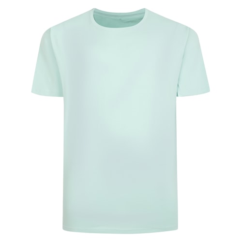 Bigdude Plain T-Shirt Mint Green Tall