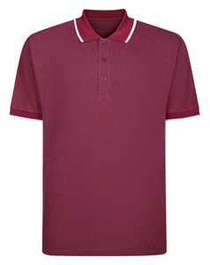 Bigdude Tipped Polo Shirt Cassis