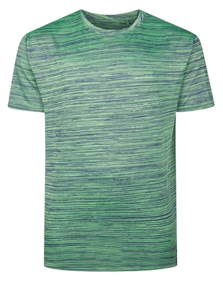 Bigdude Space Yarn Gym T-Shirt Green