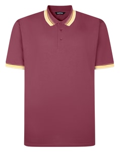 Bigdude Ombre Tipped Collar Polo Crimson Red Tall