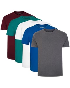 Bigdude 5 Pack Plain T-Shirts