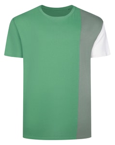 Bigdude Vertical Colour Block T-Shirt Green Tall